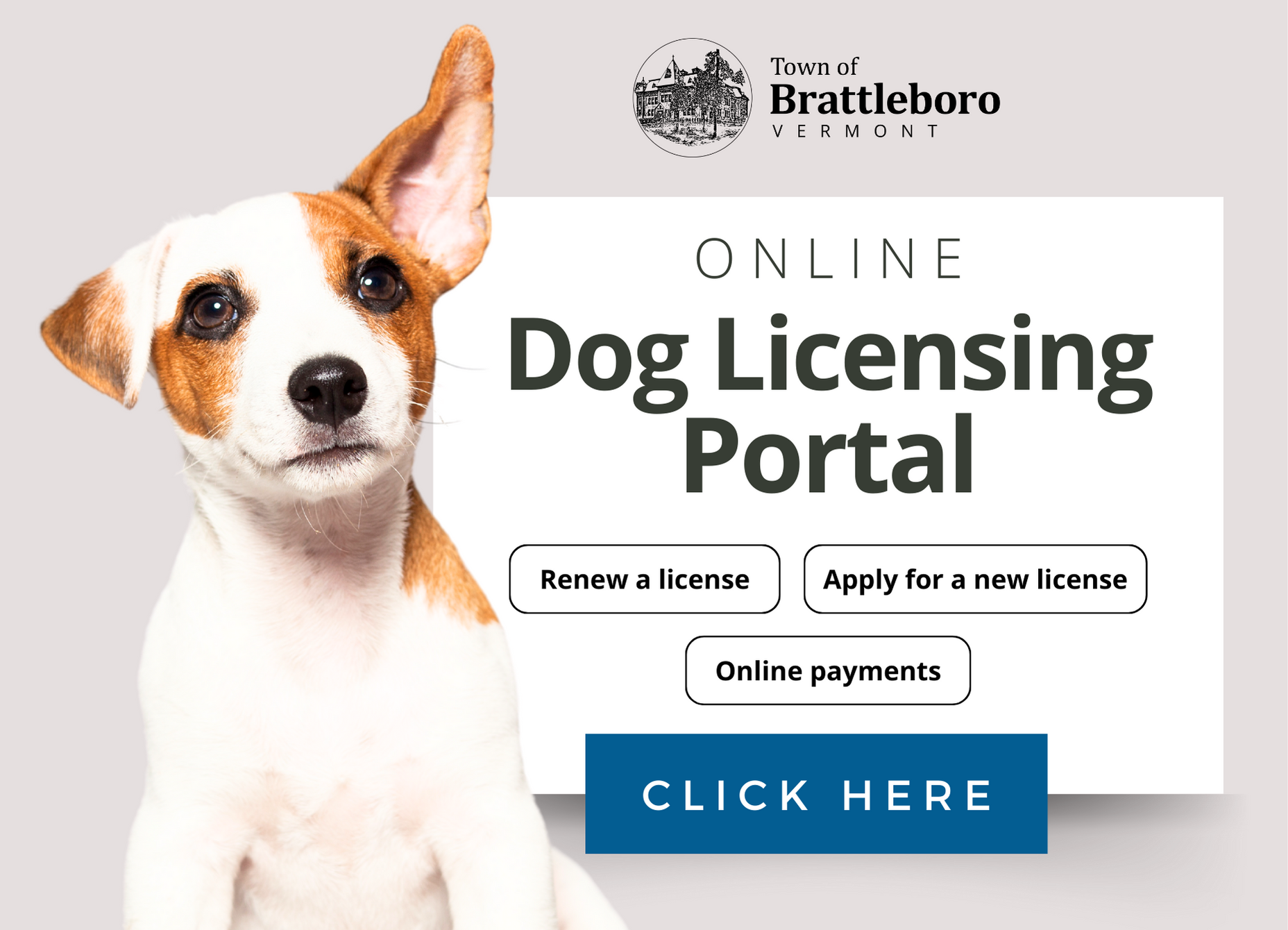 Dog Licensing